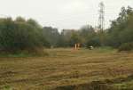 GrassClearanceNov24.jpg