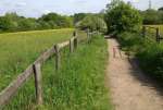 TrackMeadowMay23.jpg   
