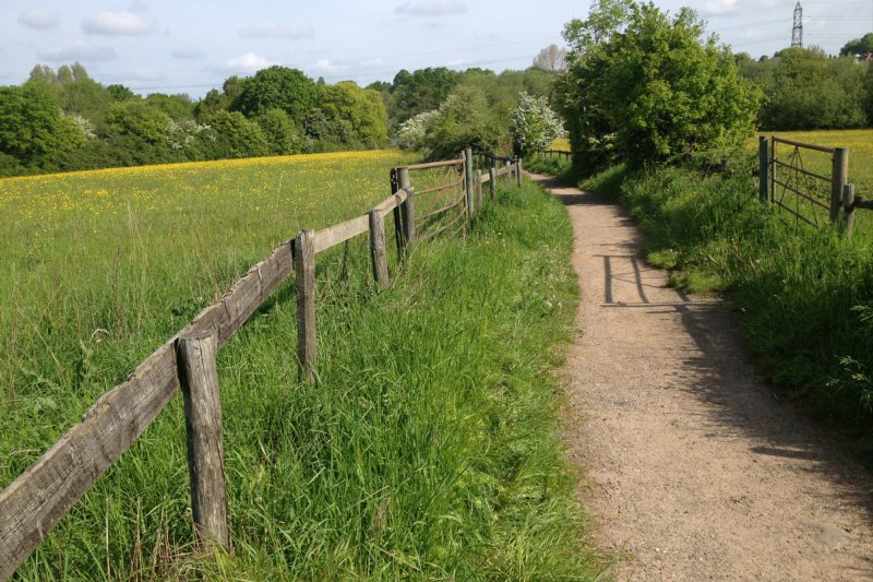 TrackMeadowMay23/jpg   