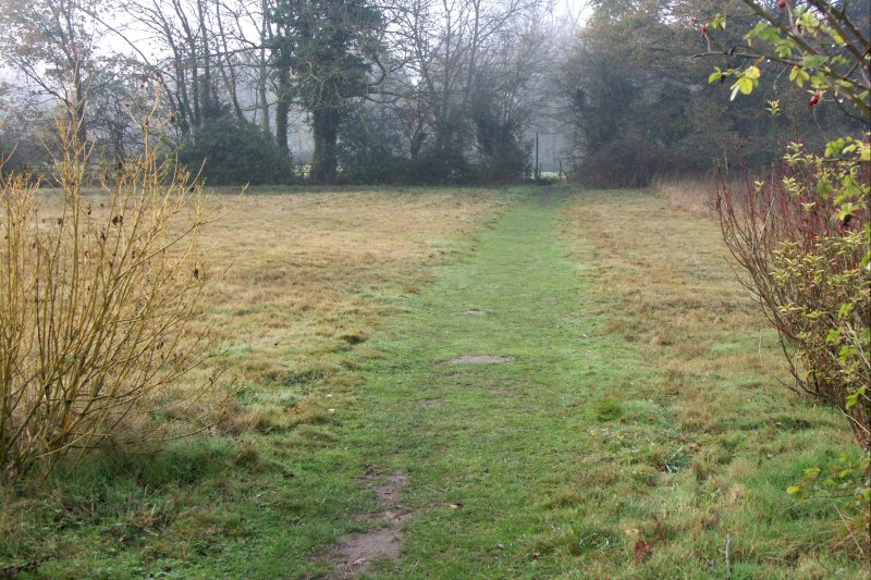 31Path/jpg