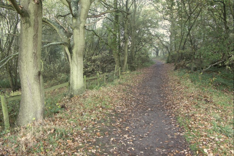 39Path/jpg