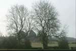 19Trees.jpg
