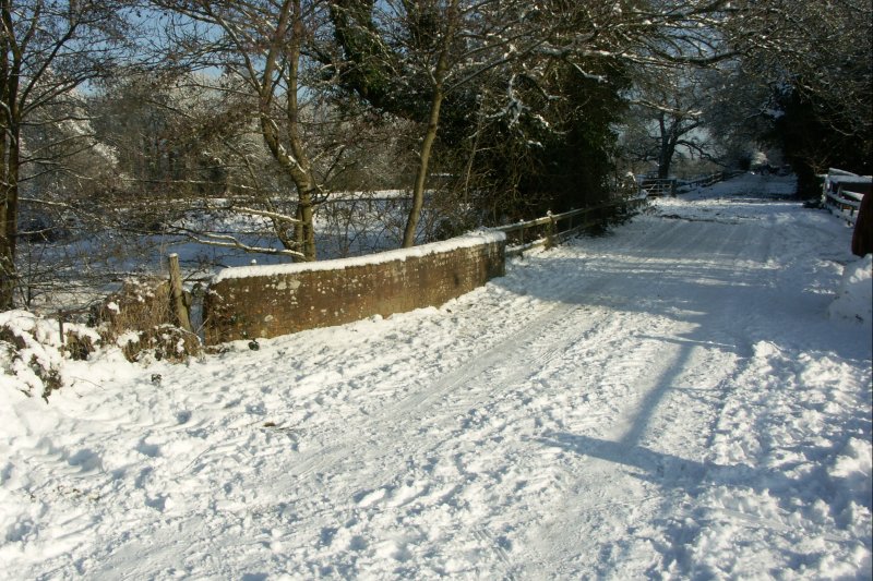 BridgeLane/jpg