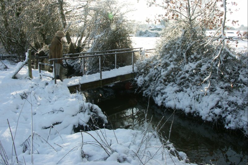 FootBridge/jpg