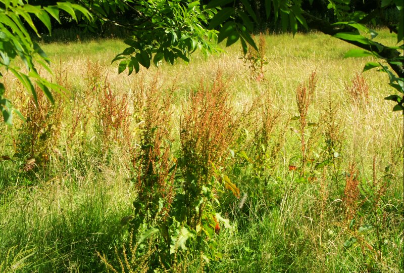 PICT0158/JPG