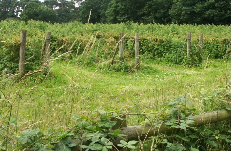 PICT0196/JPG