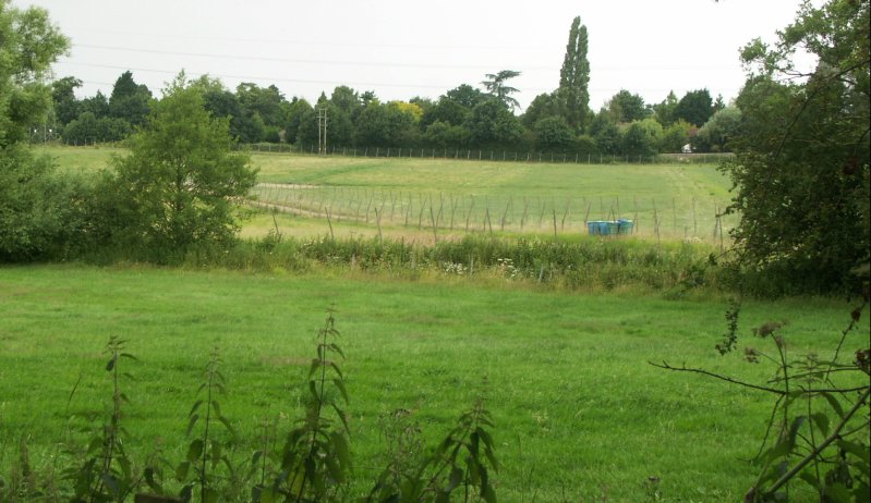 PICT0199/JPG