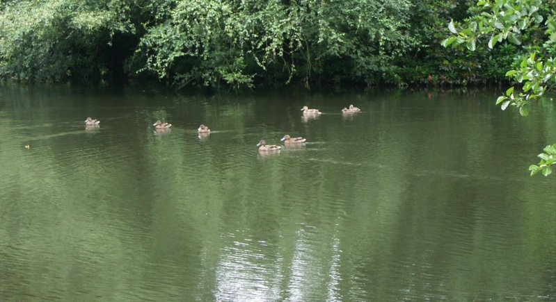 PICT0191/JPG