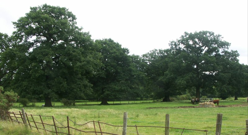 PICT0179/JPG