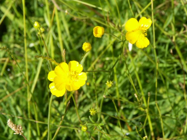 PICT0097/JPG
