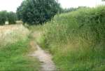 PICT0124.JPG