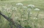 PICT0108.JPG