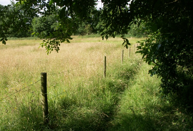 PICT0084/JPG