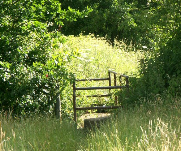 PICT0087/jpg
