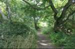 PICT0078.JPG
