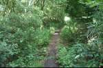 PICT0080.JPG
