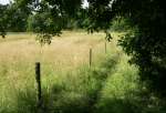 PICT0084.JPG