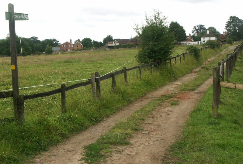 PICT0161/JPG