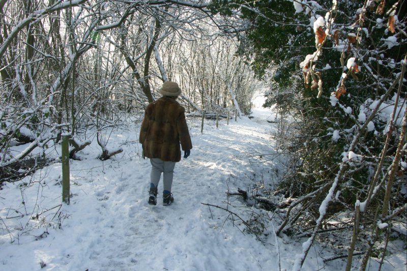 IntoWood/jpg