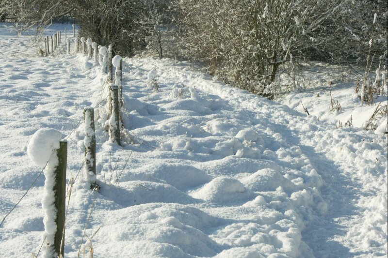 PathByFence/jpg