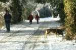 DogWalkers.jpg