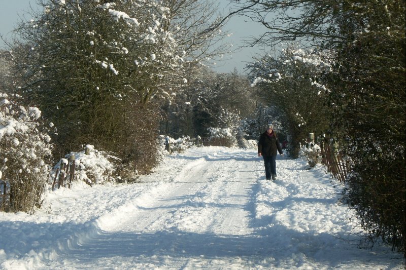 WalkerLane/jpg